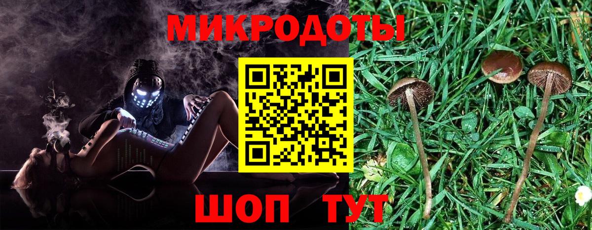 Галлюциногенные грибы Magic Shrooms Ногинск